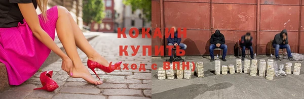 дмт Дмитров